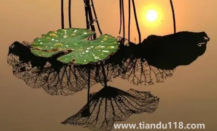 2022年寒露可以搬家嗎（搬家吉日怎么選擇）