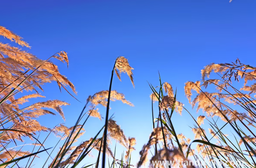 2022國慶節(jié)會(huì)有冷空氣嗎（國慶節(jié)天氣怎么樣）