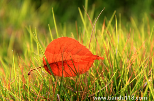 2022國慶節(jié)會有冷空氣嗎3