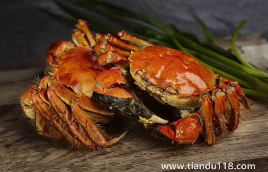 大閘蟹可以帶上高鐵動(dòng)車嗎(吃大閘蟹的注意事項(xiàng))(圖2) 大閘蟹可以帶上高鐵動(dòng)車嗎2