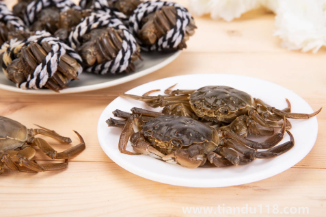 買來的活螃蟹暫時(shí)不吃怎么保存(螃蟹放冰箱能放多久)(圖3) 買來的活螃蟹暫時(shí)不吃怎么保存3