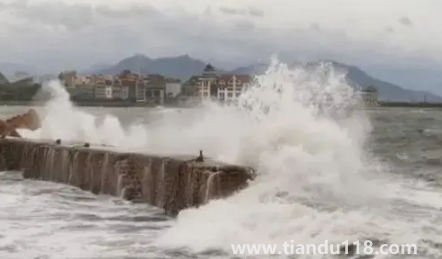 2022年臺(tái)風(fēng)梅花什么時(shí)候登錄山東（梅花臺(tái)風(fēng)什么時(shí)候到山東）
