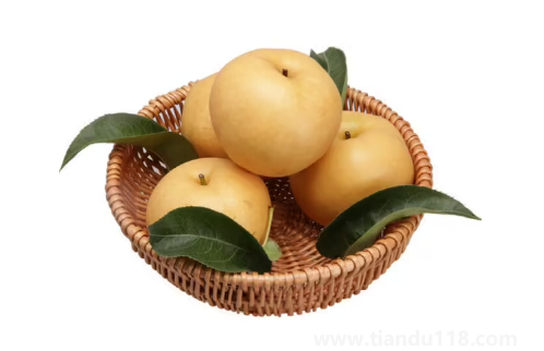 秋月梨和豐水梨是一個(gè)品種嗎（梨不能和什么一起吃）