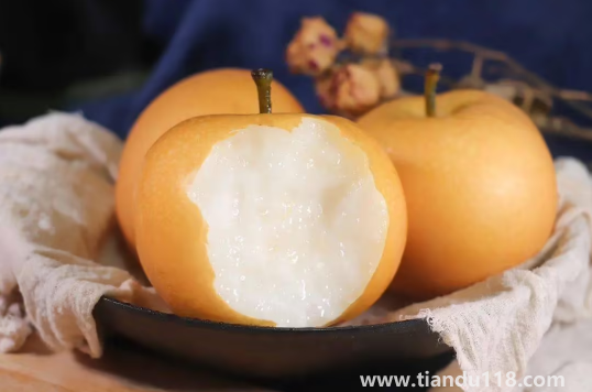 秋月梨和雪梨哪個止咳效果好(秋月梨怎么挑選)(圖1) 秋月梨和雪梨哪個止咳效果好1