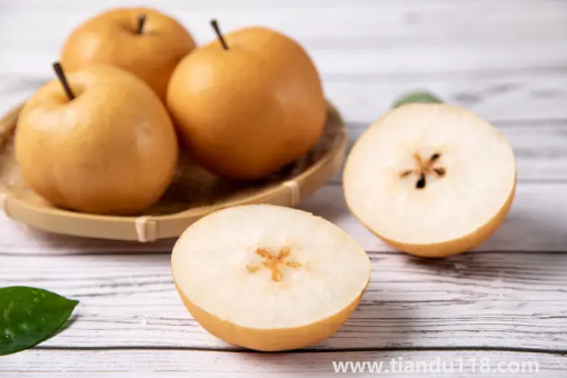 秋月梨和雪梨哪個止咳效果好(秋月梨怎么挑選)(圖3) 秋月梨和雪梨哪個止咳效果好3