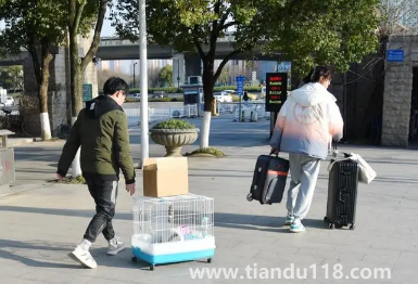 2023年春節(jié)假期會(huì)延長嗎(2023春節(jié)什么時(shí)候放假)(圖1) 2023年春節(jié)假期會(huì)延長嗎1