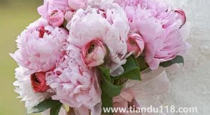 男方娶親當(dāng)天手捧花必須要準(zhǔn)備嗎2