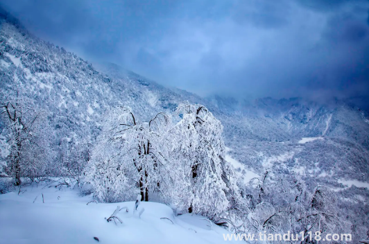 2022至2023年有特大寒潮嗎1