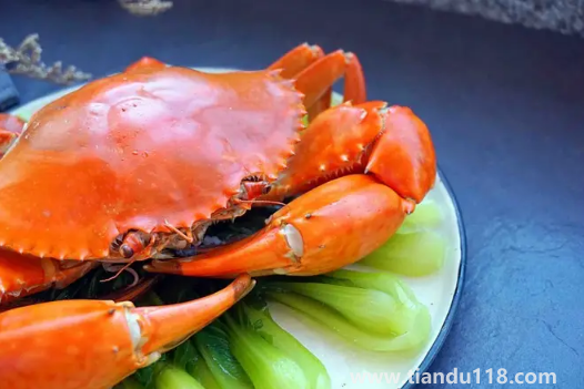 青蟹蒸之前要怎么處理（清蒸青蟹多長(zhǎng)時(shí)間）