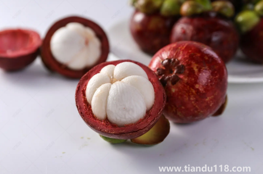 山竹的功效與作用及營養(yǎng)價(jià)值有哪些(山竹的食用方法)(圖1) 山竹的功效與作用及營養(yǎng)價(jià)值有哪些1