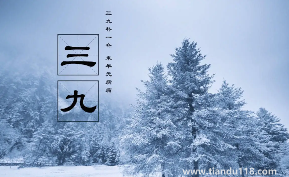 2023年三九天的起止時間3