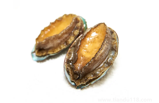 冷凍鮑魚先解凍還是先煮一下(鮑魚冷凍可以存放多久)(圖2) 冷凍鮑魚先解凍還是先煮一下2