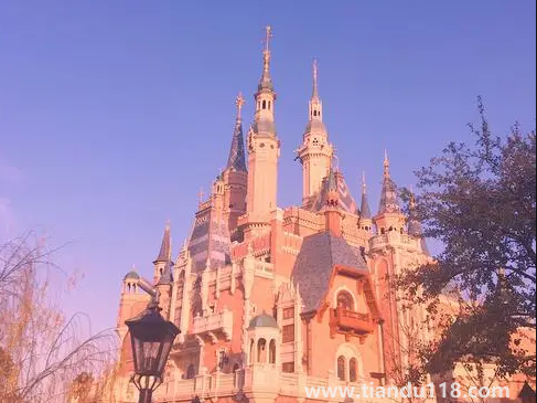 2022年上海迪士尼樂園萬(wàn)圣節(jié)有活動(dòng)嗎(迪士尼萬(wàn)圣節(jié)有哪些活動(dòng))(圖3) 2022年上海迪士尼樂園萬(wàn)圣節(jié)有活動(dòng)嗎3