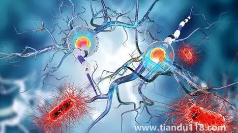 化療會(huì)讓女人更快衰老嗎(化療是術(shù)前做好還是術(shù)后做好)(圖2) 化療會(huì)讓女人更快衰老嗎2