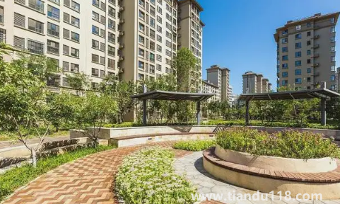 樓房最后一排是無靠山嗎(買房應該怎么選位置)(圖1) 樓房最后一排是無靠山嗎1