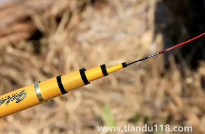 鯉魚(yú)可以隨便紋嗎（紋鯉魚(yú)哪些是要注意的）