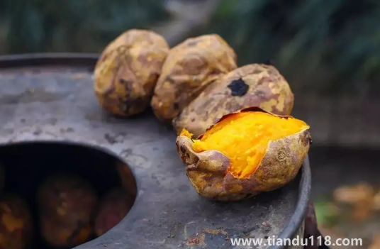 吃烤紅薯減肥還是發(fā)胖(吃烤紅薯會發(fā)胖嗎)(圖2) 吃烤紅薯減肥還是發(fā)胖2