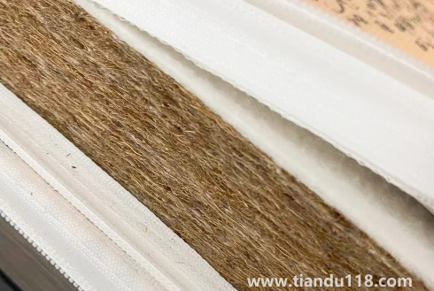 椰棕會(huì)不會(huì)生蟲子(給孩子買硬棕墊要不要配一層乳膠)(圖2) 椰棕會(huì)不會(huì)生蟲子2