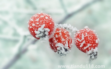 2022年霜降會(huì)提前嗎（先立冬還是先霜降）