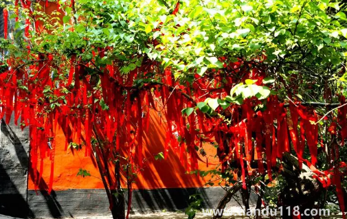 2022年11月3日適合祈福嗎2