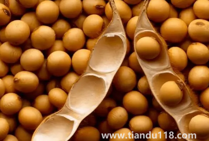 大豆被和蠶絲被哪個(gè)適合孩子(大豆纖維被和蠶絲各自有什么優(yōu)點(diǎn))(圖3) 大豆被和蠶絲被哪個(gè)適合孩子3