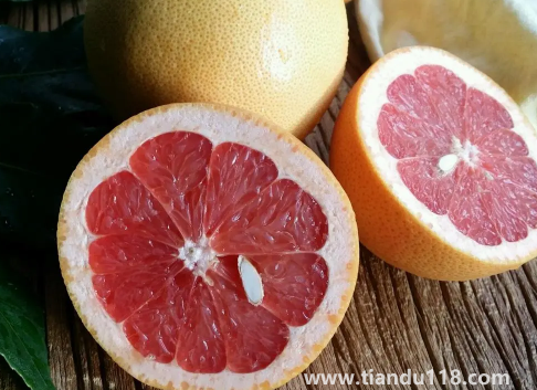 葡萄柚和紅心柚哪個好吃(怎么快速辨別葡萄柚和紅心柚)(圖3) 葡萄柚和紅心柚哪個好吃3