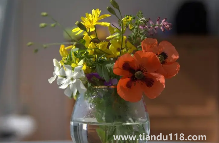 網(wǎng)上買的鮮花要醒花多久（網(wǎng)購鮮花為什么要醒花）