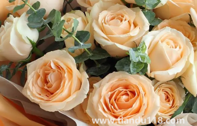 網(wǎng)上買的鮮花要醒花多久2