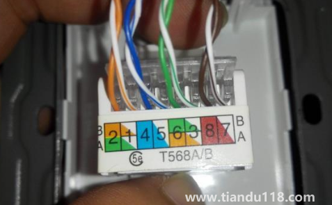 裝修時墻里埋光纖還是網(wǎng)線（一根進戶網(wǎng)線怎么分到各房間）