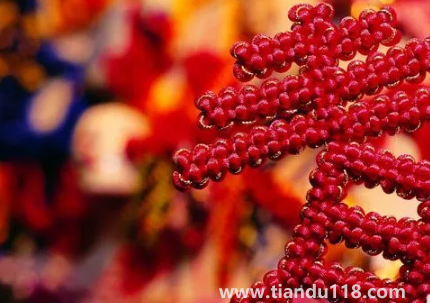 門對門掛中國結(jié)可以掛門上嗎 2