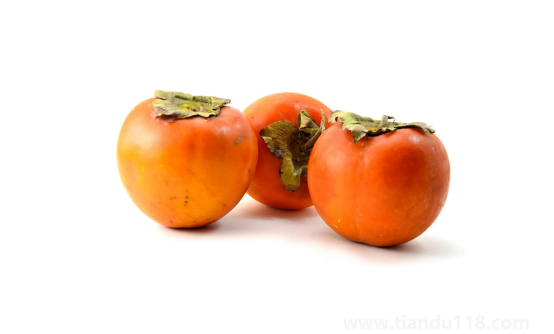 脆柿子放久了是軟柿子嗎(脆柿子能放多久)(圖2) 脆柿子放久了是軟柿子嗎2