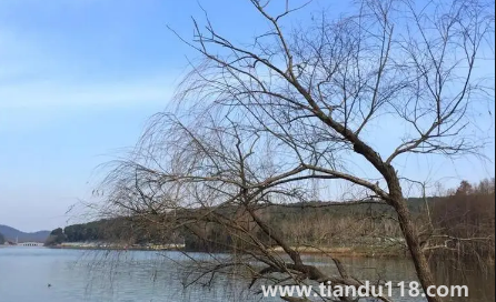 2023年閏二月年景好不好2