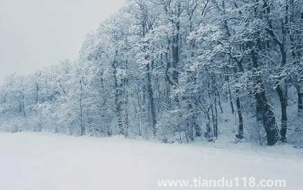 今年元旦北京會下雪嗎20231