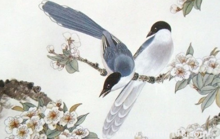 2023年生肖馬運勢怎么樣3