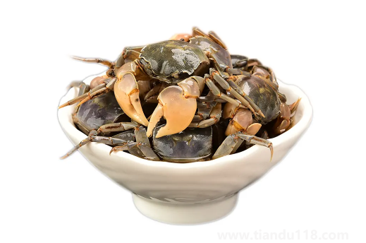 自制醉蟹有寄生蟲(chóng)嗎(醉蟹和什么不能一起吃)(圖3) 自制醉蟹有寄生蟲(chóng)嗎3