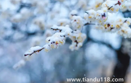 2022年11月份節(jié)氣到小雪是什么天氣(小雪節(jié)氣的氣象條件怎么樣)(圖1) 2022年11月份節(jié)氣到小雪是什么天氣1