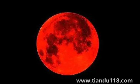 11月8日月全食每個(gè)地方都能見(jiàn)到嗎（月全食下一次何時(shí)出現(xiàn)）