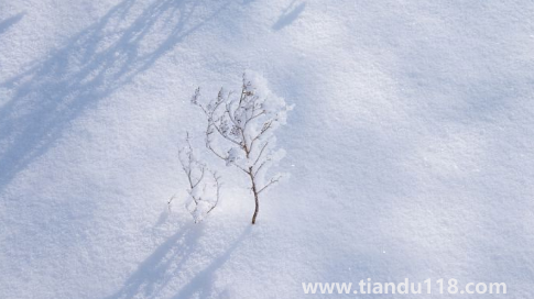 2022立冬過后為什么還這么熱(立冬算不算進入冬天了)(圖3) 2022立冬過后為什么還這么熱3