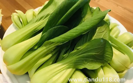 小雪節(jié)氣能不能種油菜(小雪節(jié)氣種菜能發(fā)芽嗎)(圖2) 小雪節(jié)氣能不能種油菜2