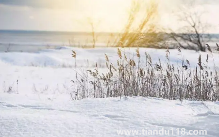 2022小雪節(jié)氣是初冬嗎(小雪節(jié)氣宜什么不宜什么)(圖2) 2022小雪節(jié)氣是初冬嗎2