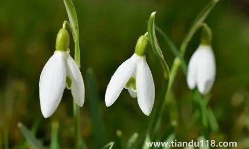 2022年閏二月冷不冷（閏月的歷史由來是怎么樣的）