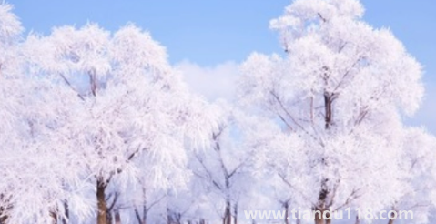 今年三九是最冷的時候嗎20233