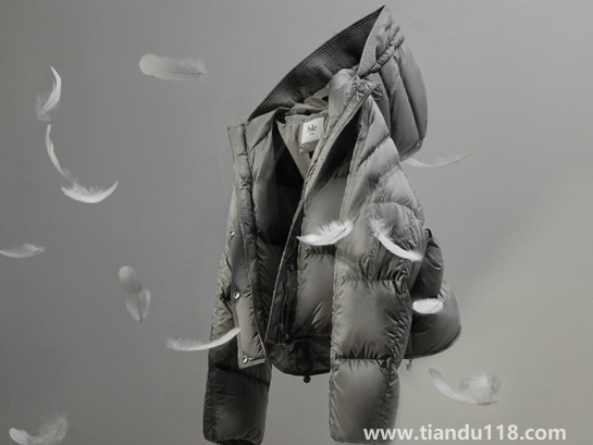 鵝絨一般比鴨絨貴多少（冬天有必要買(mǎi)鵝絨服嗎）