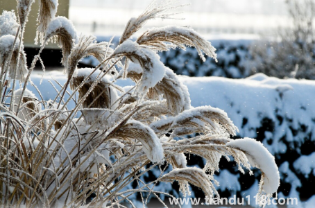 2023大寒當(dāng)天冷點(diǎn)好還是熱點(diǎn)好（大寒時(shí)節(jié)天氣暖和為啥不好）