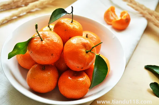 砂糖橘有籽好還是無籽好（砂糖橘怎么挑選）