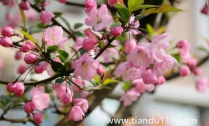 2023春節(jié)后氣溫還會(huì)下降嗎（春節(jié)后氣溫會(huì)出現(xiàn)什么變化）