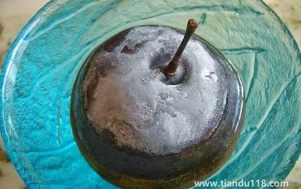 凍梨吃的時候要解凍嗎（凍梨的正確吃法）