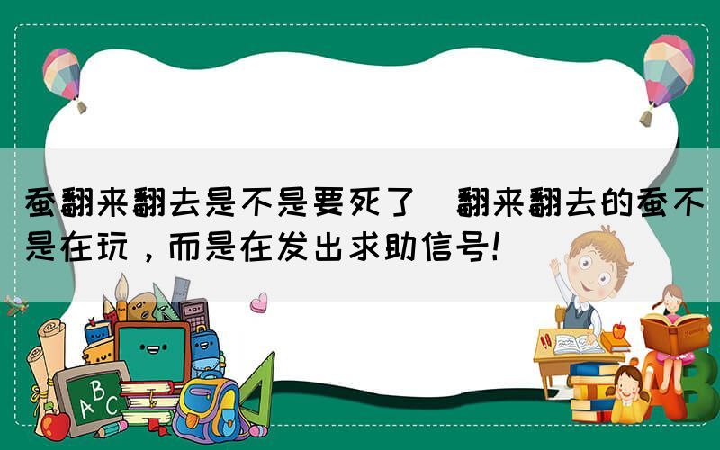 蠶翻來翻去是不是要死了(翻來翻去的蠶不是在玩，而是在發(fā)出求助信號！)