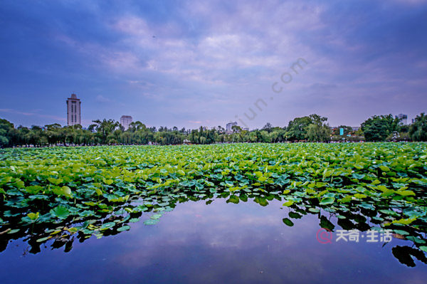 昆明市區(qū)有什么好玩的 昆明市內(nèi)經(jīng)典一日游(圖2) 昆明市區(qū)有什么好玩的